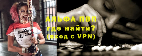 мдпв Краснослободск