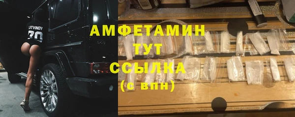 мдпв Краснослободск