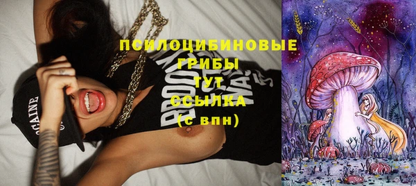 мяу мяу мука Новосибирск