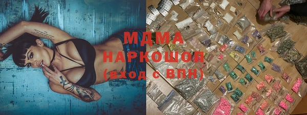 мдпв Краснослободск
