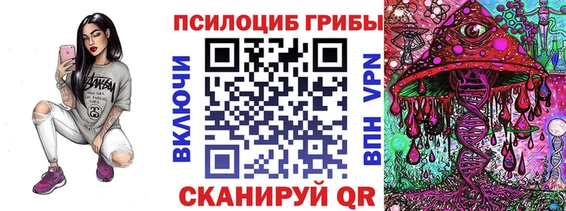Псилоцибиновые грибы Magic Shrooms  купить наркотик  Шилка 
